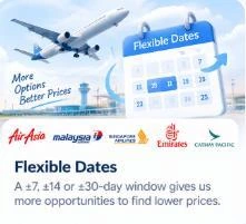 Airplane and flexible date calendar illustration from the program brief
